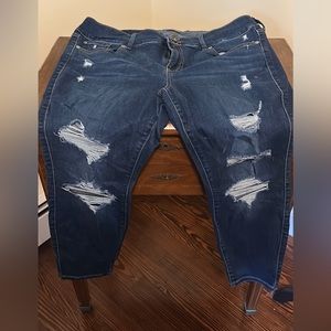 Torrid Jeggings Size 16XS